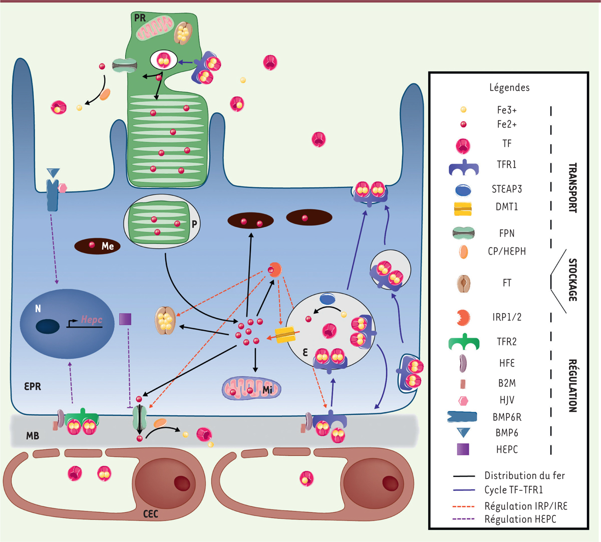 Figure 1.