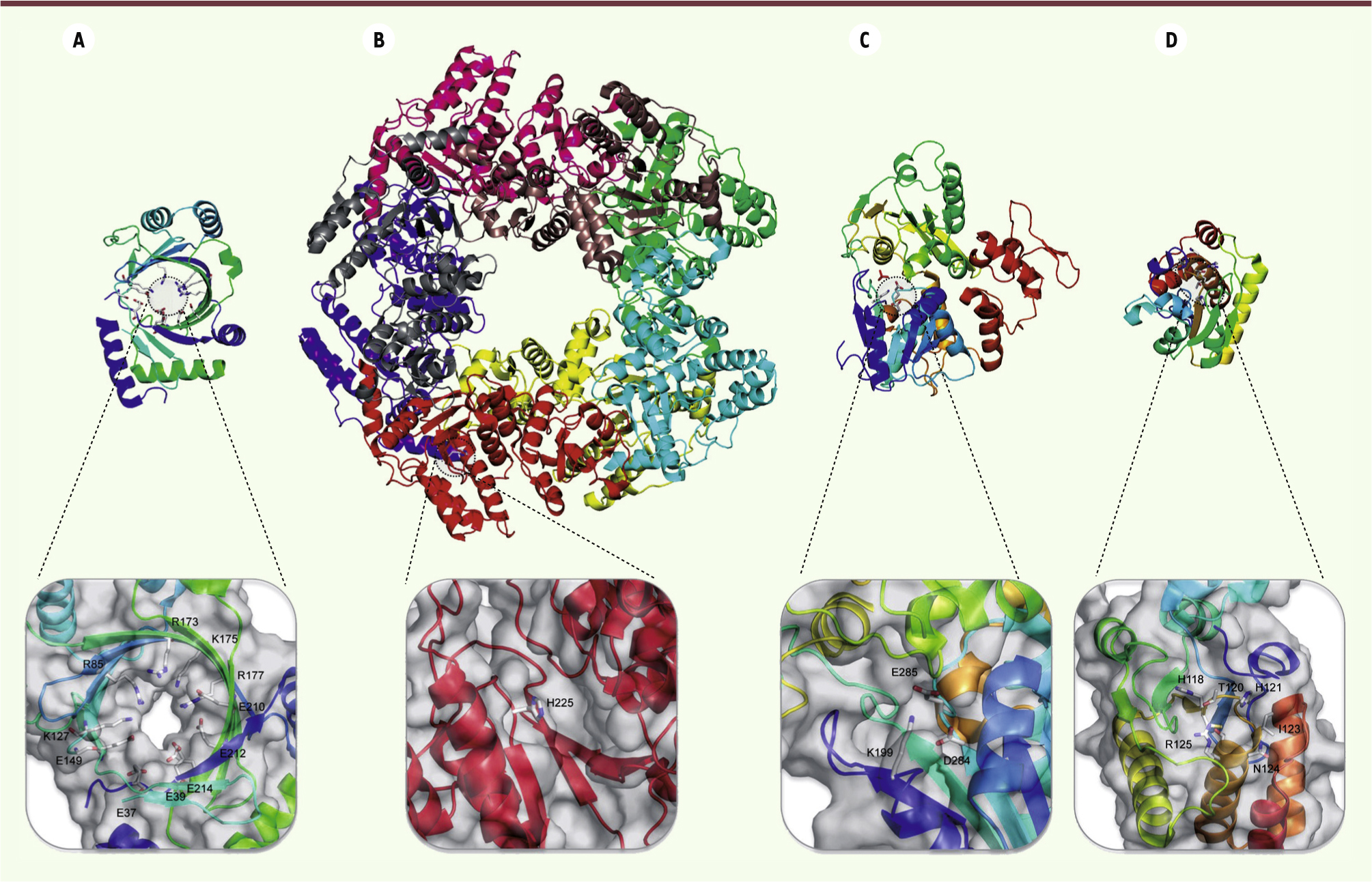 Figure 3.